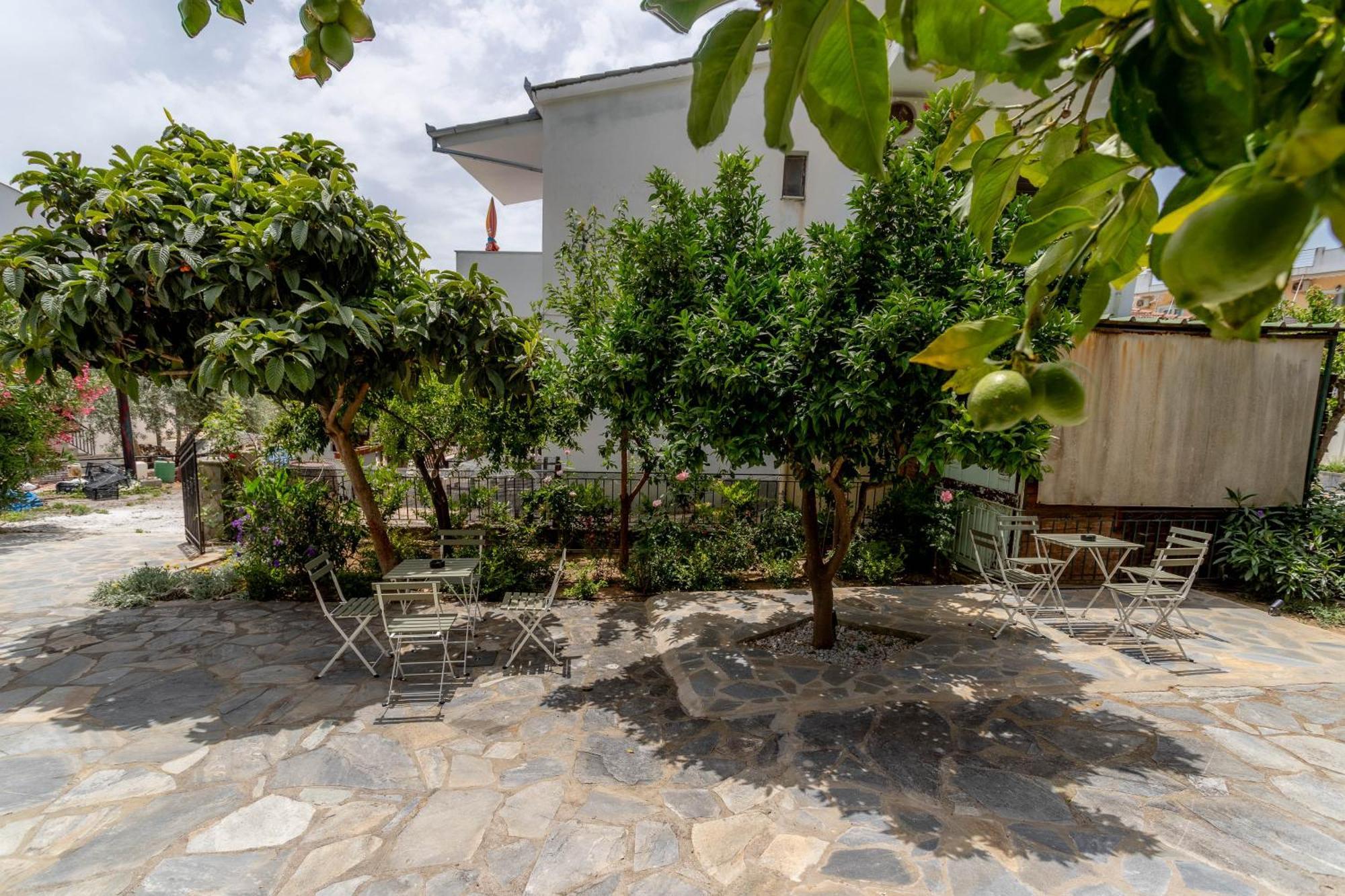 Pteleo Apartments Pteleós 외부 사진